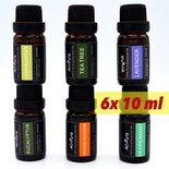All-Pura; Lavendel, Oranjebloesem, TeaTree, Pepermunt, Eucalyptus+ Citroengras | 60ml | (Voordeelset 1 - etherische olie)